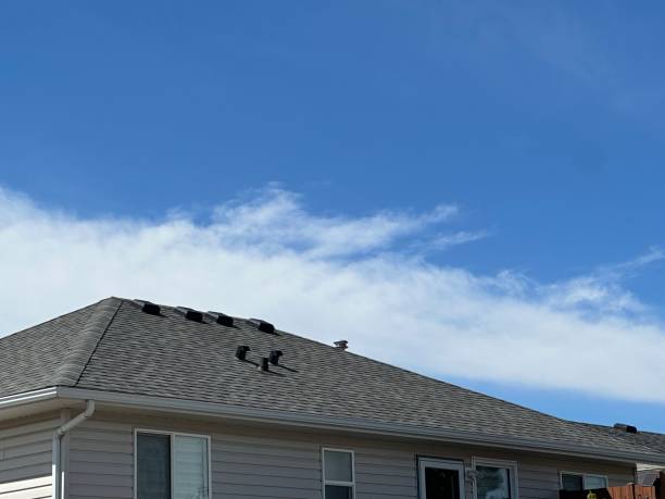 Best Roof Leak Repair  in Tariffville, CT